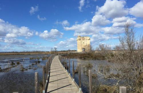 Mas Viala - Photo 23