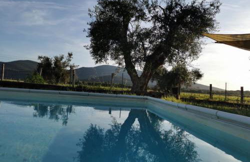 Podere Montecorno - Foto 63