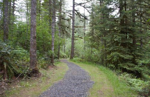 Kanati Falls Ranch - Foto 41