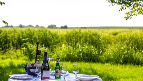 Polderhaus Deichblick direkt am Dullart - Foto 3, Garden