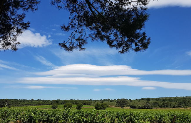 Les Romarins - Foto 17