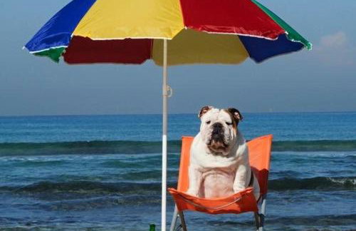 Ocean Drive Deluxe Apartment with complimentary Day Time Beach hut - Foto 54