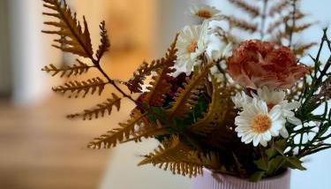 Lula Milano - Zara M3-M5 - Foto 4