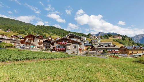 Chalet Sambor - Foto 4