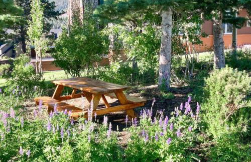 Juniper Springs 444 - Foto 22