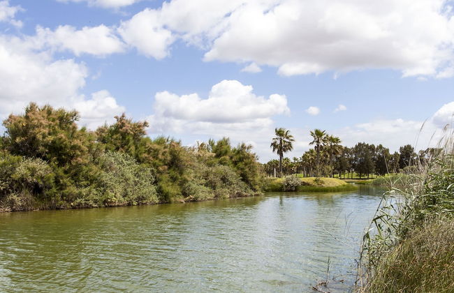 BaySide Salgados - Photo 37