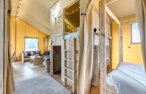 Muntjac - Uk47396 - Foto 9