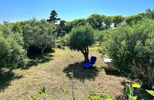 Villa Roseal - Foto 18