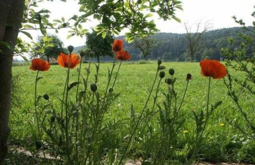 Ferienhaus Weitblick - Foto 9
