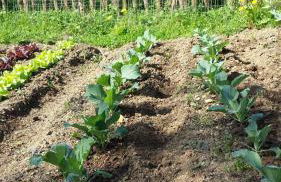 Sostio a Levante Guest House - Foto 78