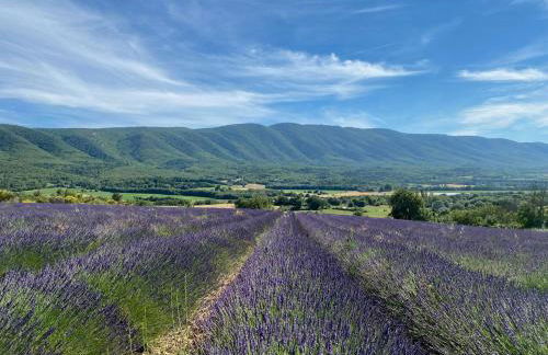 Historic Bastide With Private Pool In The Luberon - Foto 21