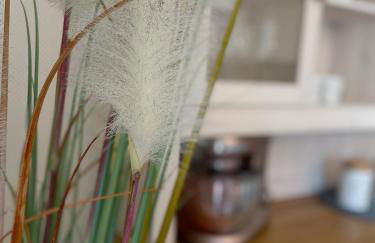 Strandbox & Strandresidenz - Foto 12