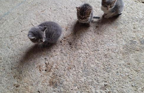 Ranzinger Hof - Foto 32