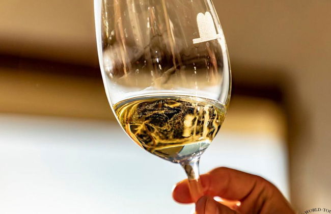 Tour del vino Txacoli con visita al Museo Txakoli e degustazione - Foto 1