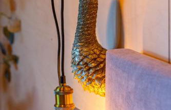 Les Parenthèses Occitanes - Les Pépites - Photo 6