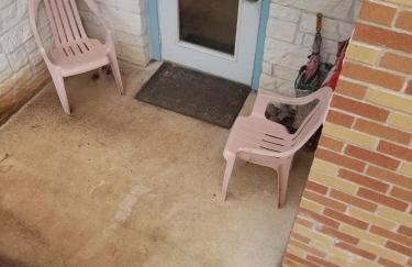 Forest Lake House - Foto 37