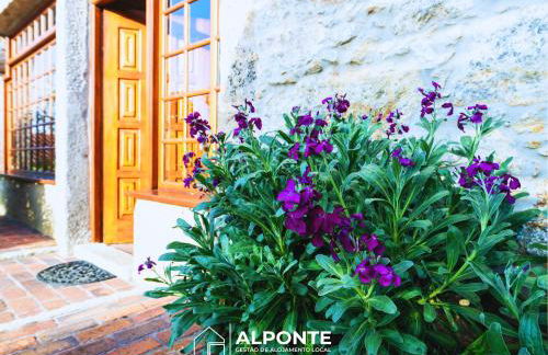 Casa da Pedra by ALPONTE - Foto 89