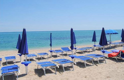 Socagril Verde Ss - Foto 34