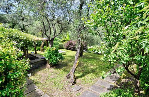 La Prima Torre Country - 4 posti letto - Giardino e piscina condivisa - Foto 8