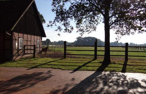 Ferienhaus Poppe - Foto 5