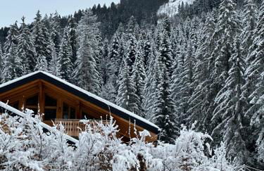 La Rose des neiges à Châtel - Foto 7