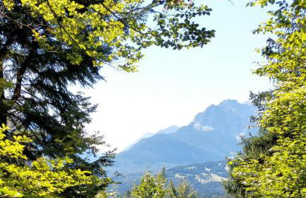 Haus Sonnenruh - Foto 21