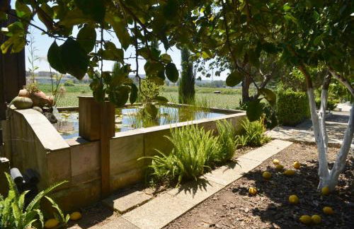 Abrigo do Moleiro - Foto 64