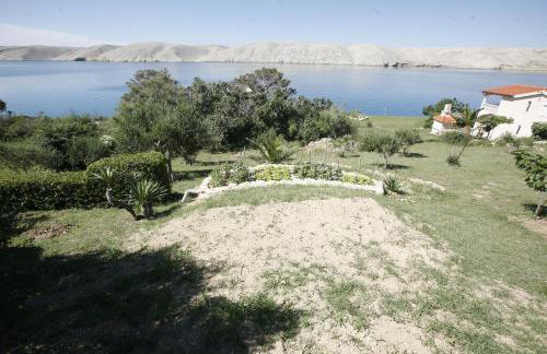 Apartments Roza - Foto 31