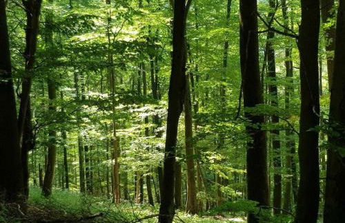 Holiday home with 8 bedrooms - Foto 33