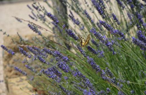 Il Podere di Marfisa - Foto 80