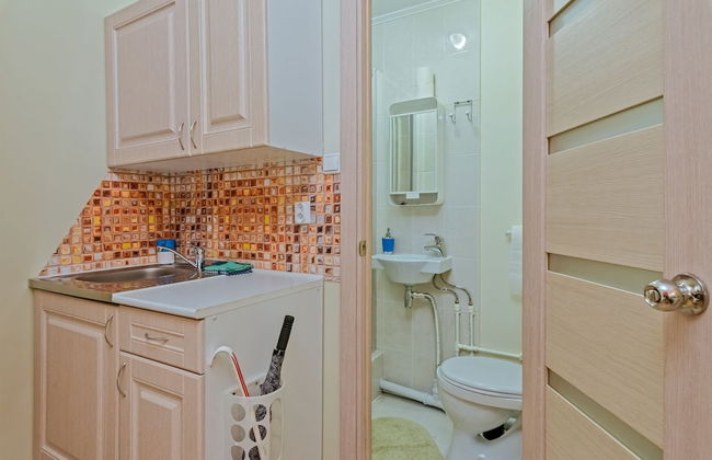 ColorSpb ApartHotel New Holland - Foto 25