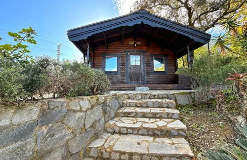 Luna House Sevilla - Foto 33