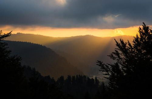 Ferienhaus Samy - Foto 23