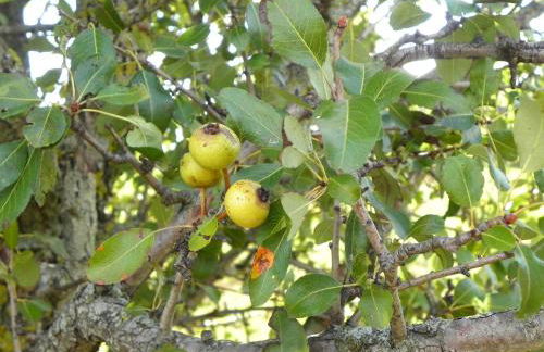 Agriturismo Sugheretello - Foto 51