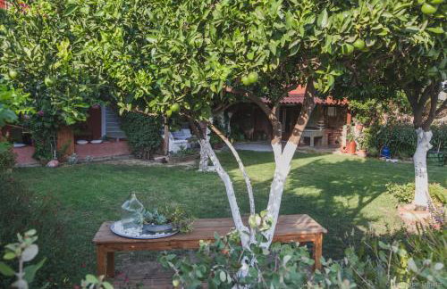 Zacharoulas Katikies - Foto 79