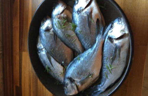 Maslina House - Photo 13