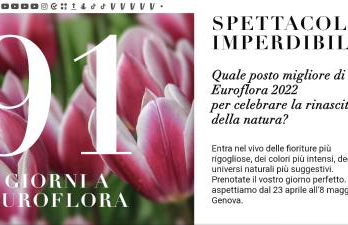 Appartamento con garage KATE - Photo 12