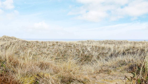 Stylish Holiday Home in Ålbæk near Beach - Foto 4, Miscelánea