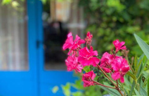 Hameau du Soleil - Papillon - Foto 15