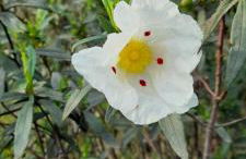 Casa do Roxo - Eco Design Country House - Foto 40