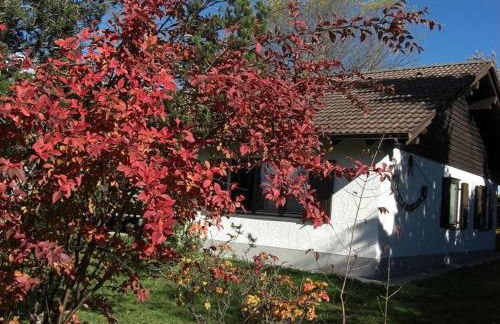 Ferienhaus Gamssteige im Feriendorf Reichenbach G32 - Foto 1