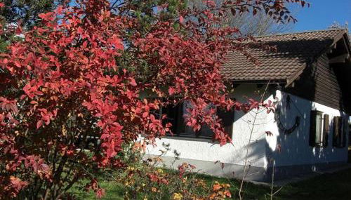 Ferienhaus Gamssteige im Feriendorf Reichenbach G32 - Foto 1