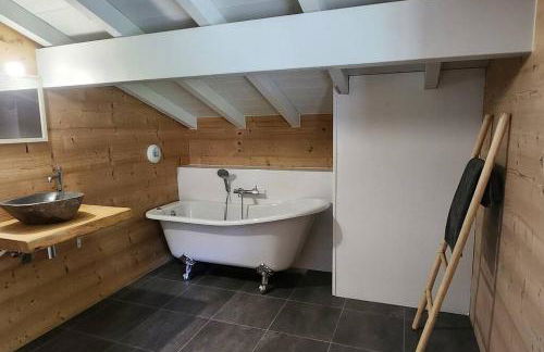 Chalet Le Saint Bernard - Sauna - Alp'in C - Châtel - Foto 17