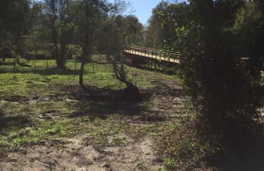 Beach and Mountain Paradise - Foto 36