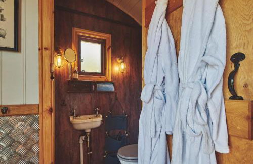 Curious Calf - Foto 17