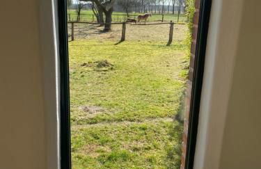 Schöner Winkel - Foto 11