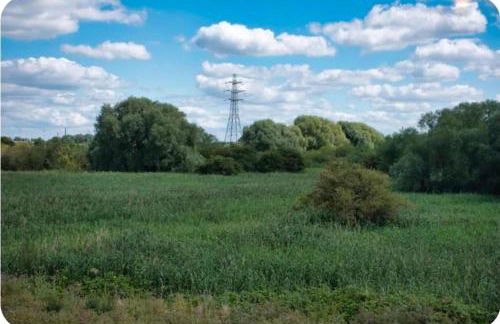 Modern Townhouse in Peterborough - Foto 6