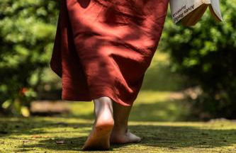 Azores Green Villas - Photo 17