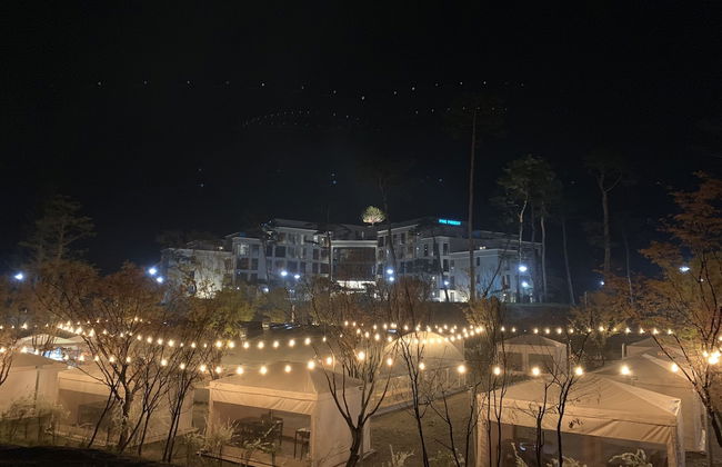 Pine Forest - Photo 33