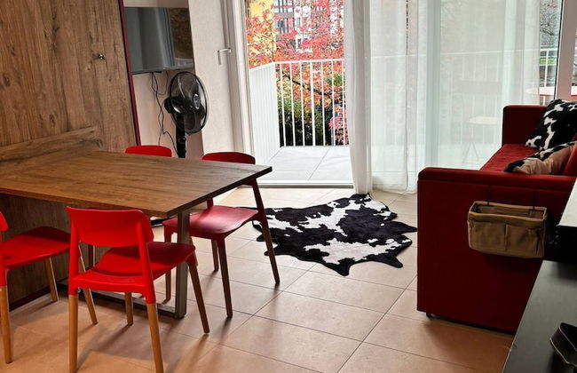 Grape Place With Washing Machine - Foto 8